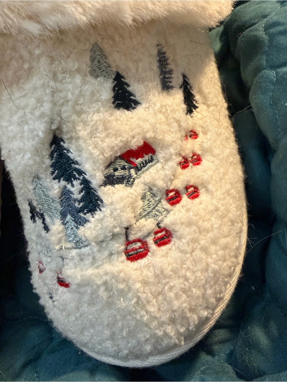 American Eagle Ski Lodge Slippers - Picture 3 of 4